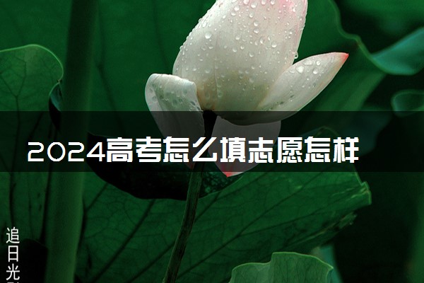 2024高考怎么填志愿怎样选专业 填报技巧有哪些