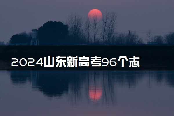 2024山东新高考96个志愿录取顺序 如何排序录取率高