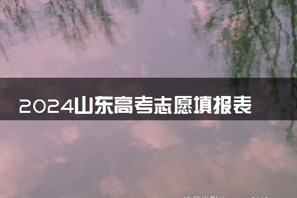 2024山东高考志愿填报表范本 96个志愿如何录取