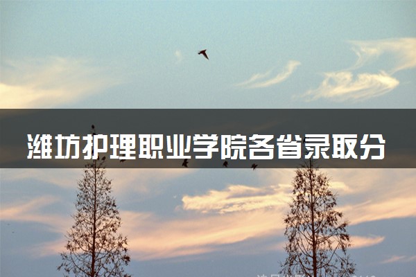 潍坊护理职业学院各省录取分数线及位次 投档最低分是多少(2024年高考参考)