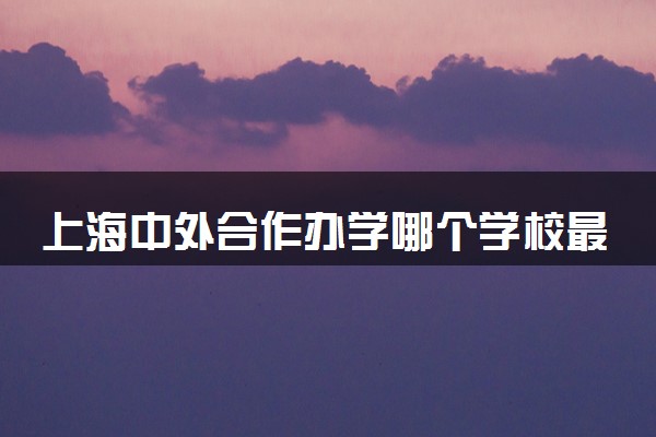 上海中外合作办学哪个学校最好含金量高