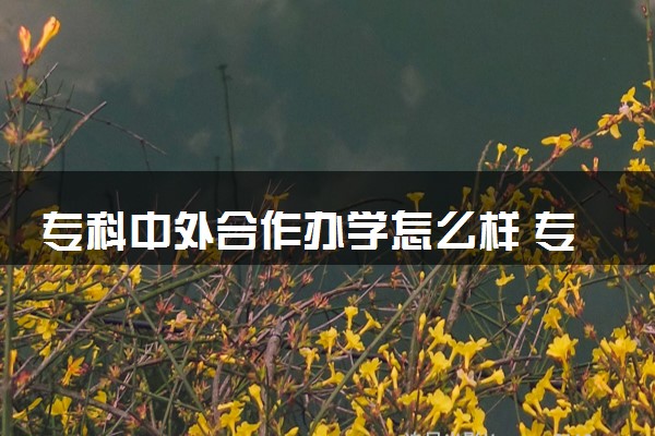 专科中外合作办学怎么样 专科值得读吗