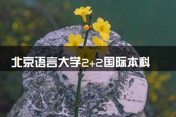 北京语言大学2+2国际本科2024年招生简章