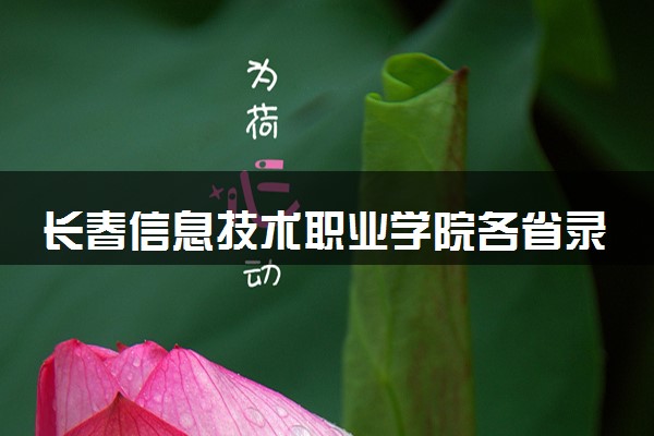 长春信息技术职业学院各省录取分数线及位次 投档最低分是多少(2024年高考参考)