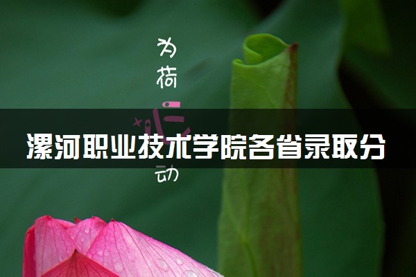 漯河职业技术学院各省录取分数线及位次 投档最低分是多少(2024年高考参考)