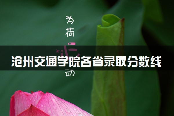 沧州交通学院各省录取分数线及位次 投档最低分是多少(2024年高考参考)