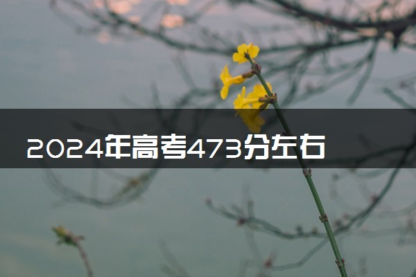 2024年高考473分左右可以报考的大学有哪些