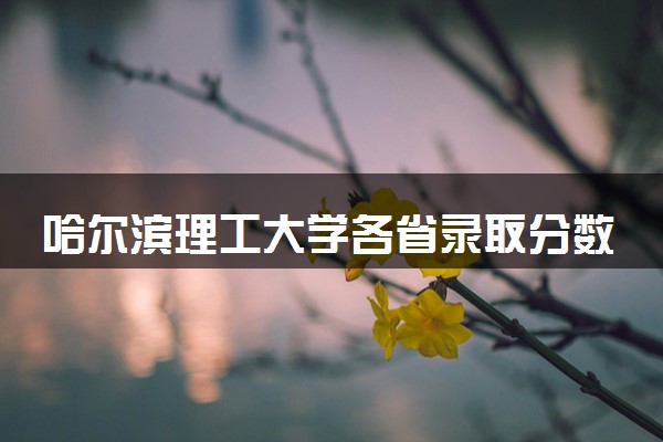 哈尔滨理工大学各省录取分数线及位次 投档最低分是多少(2024年高考参考)