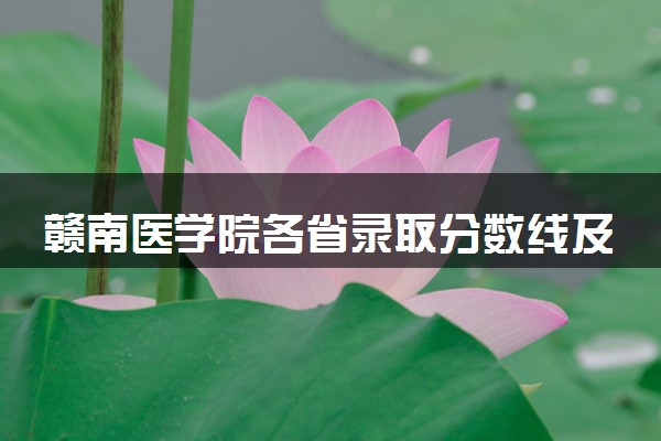 赣南医学院各省录取分数线及位次 投档最低分是多少(2024年高考参考)