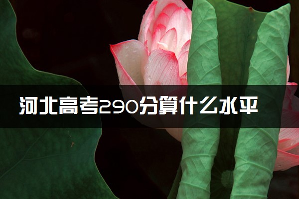 河北高考290分算什么水平 2024能上哪些大学