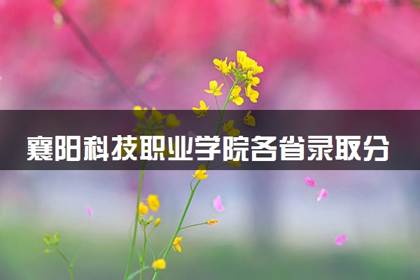 襄阳科技职业学院各省录取分数线及位次 投档最低分是多少(2024年高考参考)