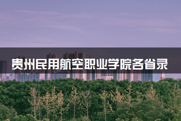 贵州民用航空职业学院各省录取分数线及位次 投档最低分是多少(2024年高考参考)