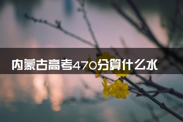 内蒙古高考470分算什么水平 2024能上哪些大学