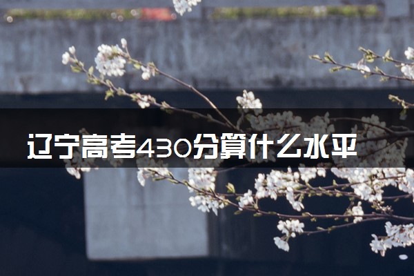 辽宁高考430分算什么水平 2024能上哪些大学