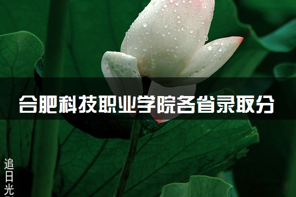 合肥科技职业学院各省录取分数线及位次 投档最低分是多少(2024年高考参考)