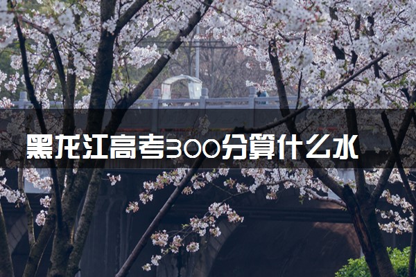 黑龙江高考300分算什么水平 2024能上哪些大学