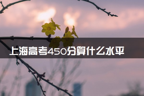 上海高考450分算什么水平 2024能上哪些大学