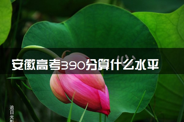 安徽高考390分算什么水平 2024能上哪些大学