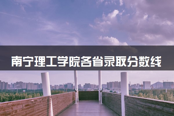 南宁理工学院各省录取分数线及位次 投档最低分是多少(2024年高考参考)