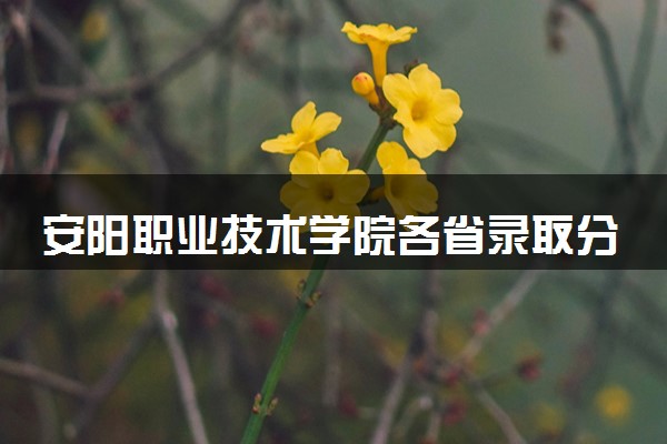 安阳职业技术学院各省录取分数线及位次 投档最低分是多少(2024年高考参考)