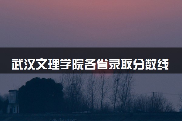 武汉文理学院各省录取分数线及位次 投档最低分是多少(2024年高考参考)