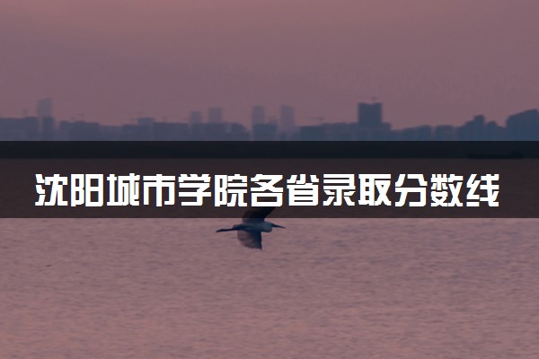 沈阳城市学院各省录取分数线及位次 投档最低分是多少(2024年高考参考)