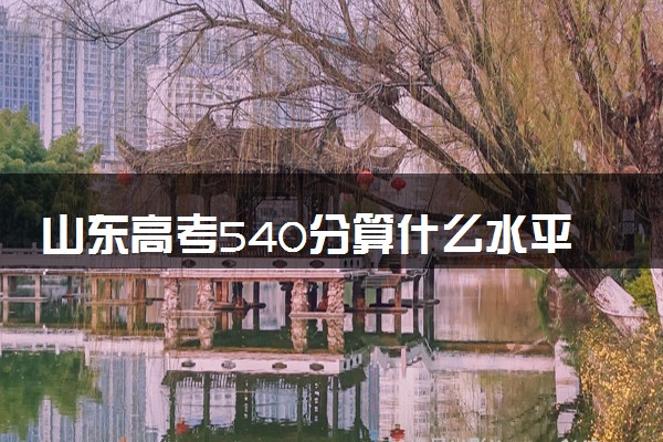 山东高考540分算什么水平 2024能上哪些大学