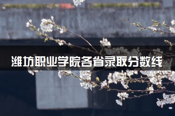 潍坊职业学院各省录取分数线及位次 投档最低分是多少(2024年高考参考)