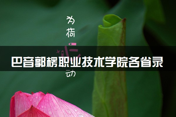 巴音郭楞职业技术学院各省录取分数线及位次 投档最低分是多少(2024年高考参考)