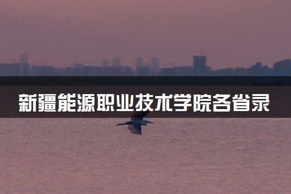 新疆能源职业技术学院各省录取分数线及位次 投档最低分是多少(2024年高考参考)