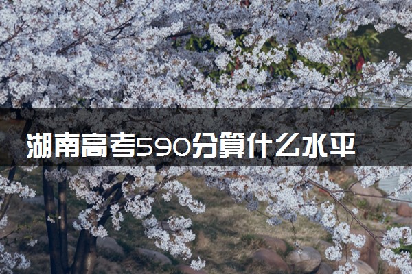 湖南高考590分算什么水平 2024能上哪些大学