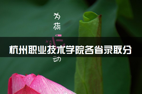 杭州职业技术学院各省录取分数线及位次 投档最低分是多少(2024年高考参考)