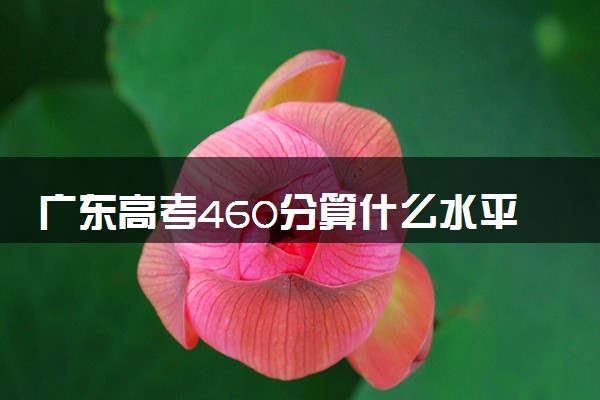 广东高考460分算什么水平 2024能上哪些大学