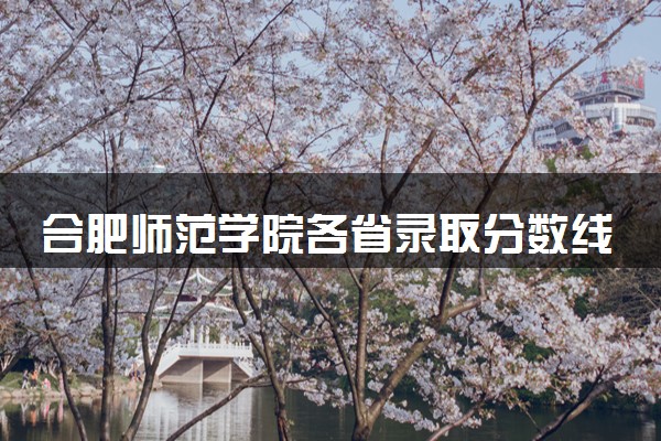 合肥师范学院各省录取分数线及位次 投档最低分是多少(2024年高考参考)