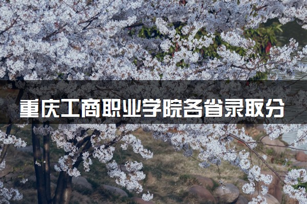 重庆工商职业学院各省录取分数线及位次 投档最低分是多少(2024年高考参考)