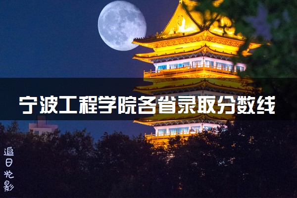 宁波工程学院各省录取分数线及位次 投档最低分是多少(2024年高考参考)