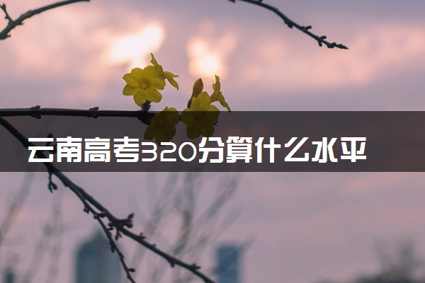 云南高考320分算什么水平 2024能上哪些大学