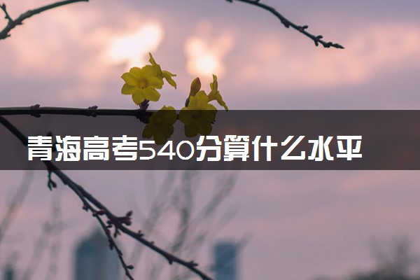 青海高考540分算什么水平 2024能上哪些大学