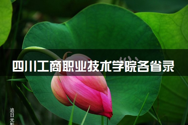 四川工商职业技术学院各省录取分数线及位次 投档最低分是多少(2024年高考参考)