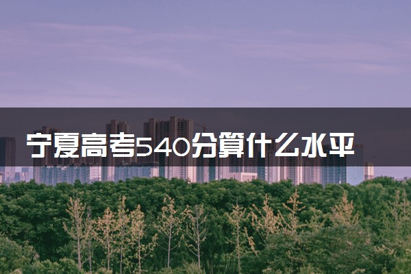 宁夏高考540分算什么水平 2024能上哪些大学