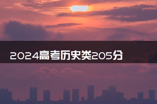 2024高考历史类205分左右能报什么大学 可以上的院校名单