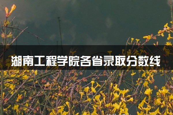 湖南工程学院各省录取分数线及位次 投档最低分是多少(2024年高考参考)