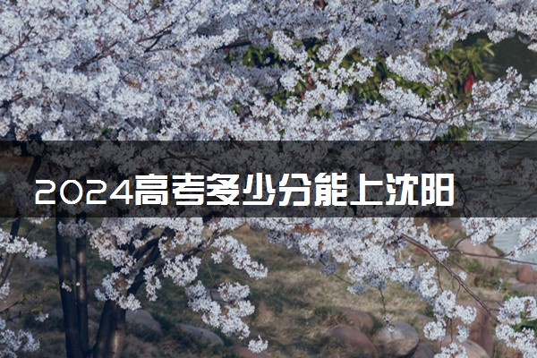 2024高考多少分能上沈阳大学 最低分数线和位次