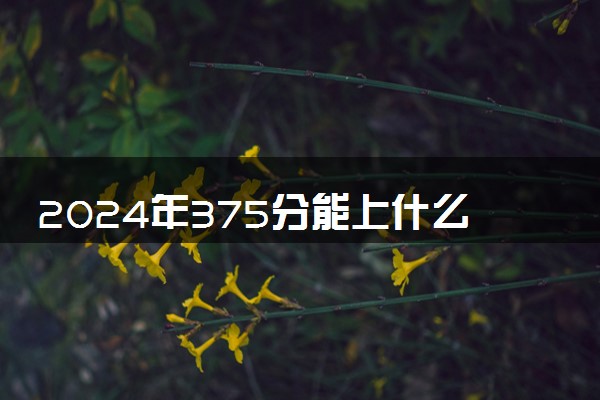 2024年375分能上什么大学 可以报考哪些院校
