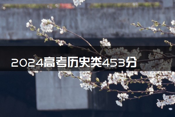 2024高考历史类453分左右能报什么大学 可以上的院校名单