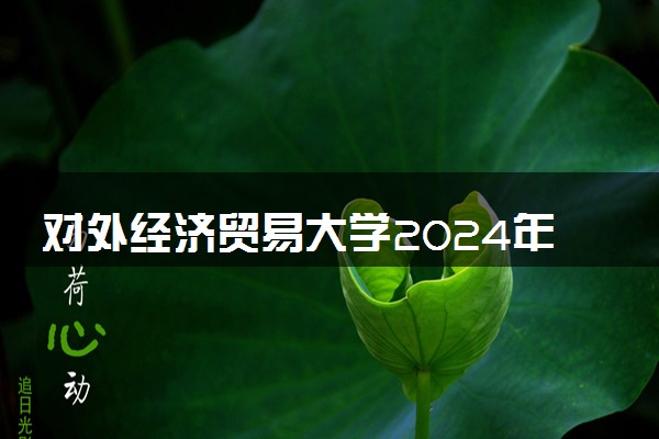 对外经济贸易大学2024年录取分数线 各专业录取最低分及位次