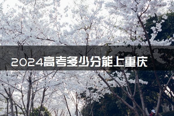 2024高考多少分能上重庆工商职业学院 最低分数线和位次