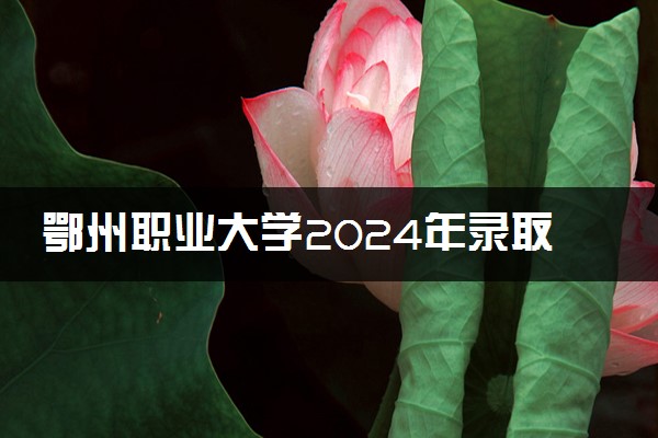 鄂州职业大学2024年录取分数线 各专业录取最低分及位次