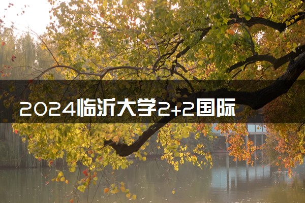 2024临沂大学2+2国际本科录取通过率高吗 项目好不好