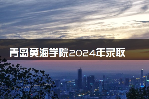 青岛黄海学院2024年录取分数线 各专业录取最低分及位次